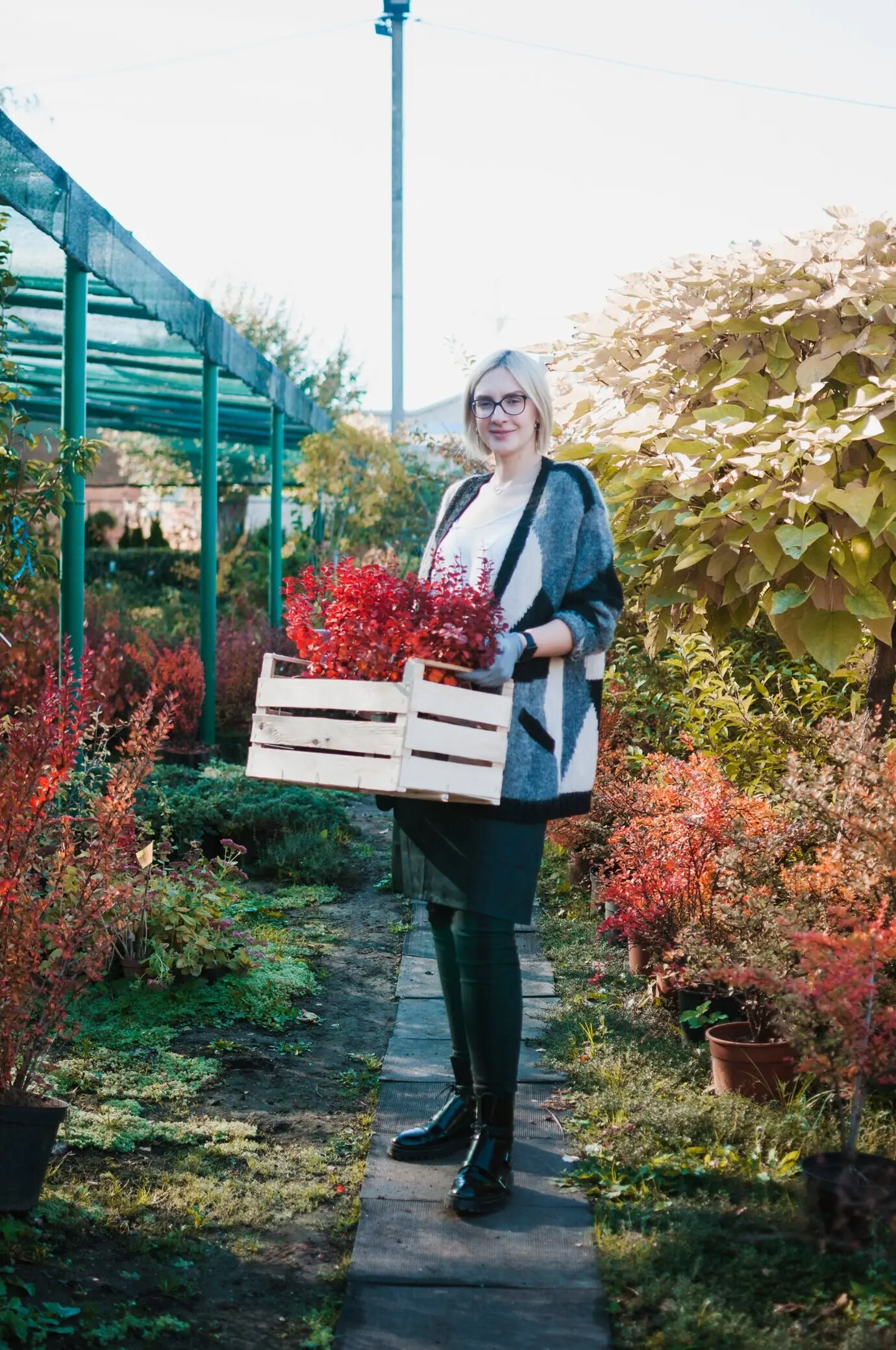 Proszę podać oryginalny opis „Gardener”, który mam sparafrazować po polsku.